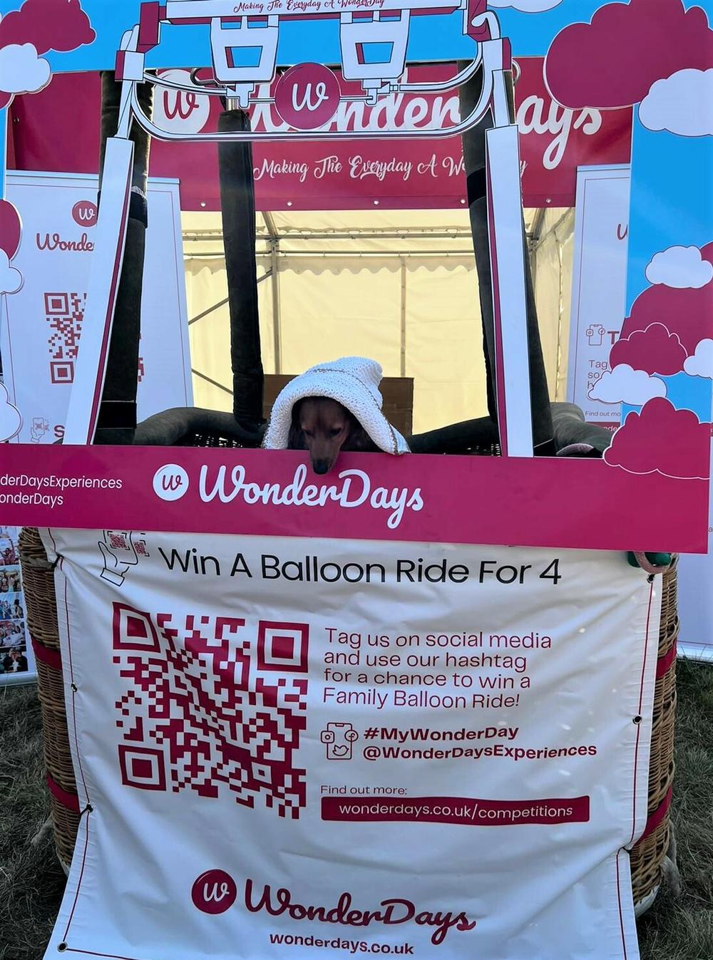Wonder Days Experience Days Photo Basket