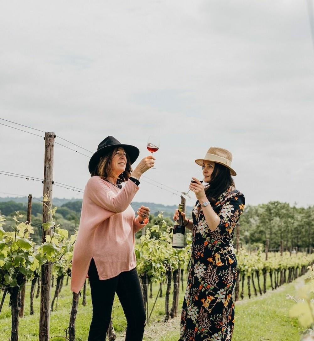 vineyard tour and wine tasting experience in sussex