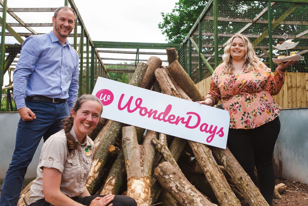Wonder Days Launch Image 1