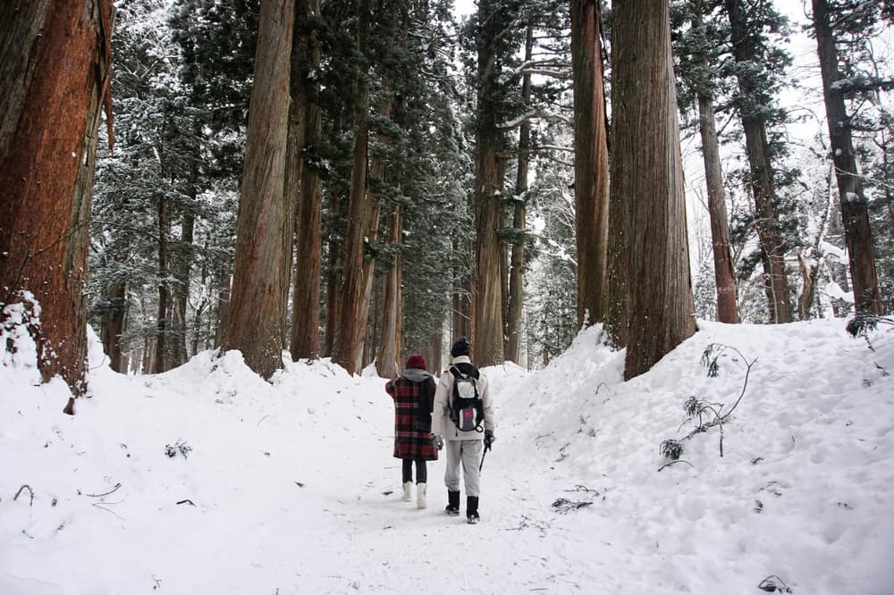 Couple hiking in winter