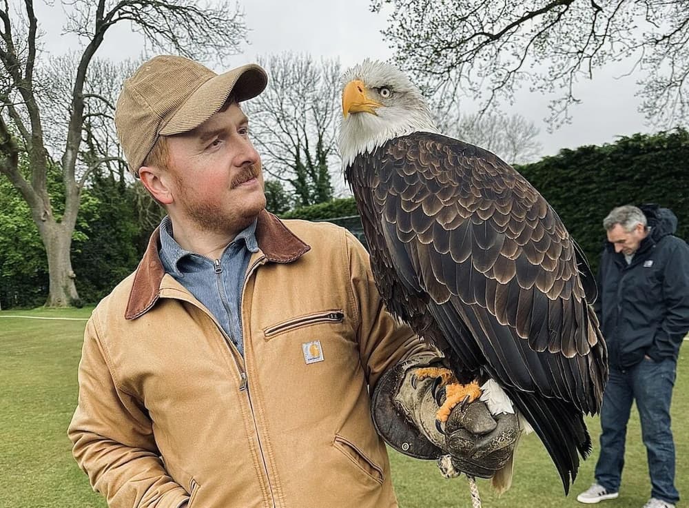 Falconry experience