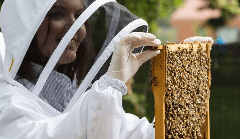 Unique Gift Bee Keeping