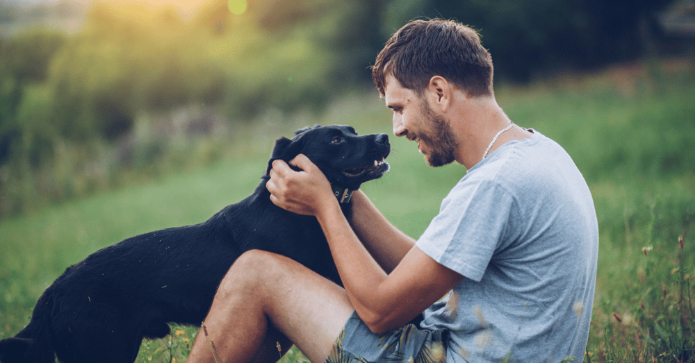 Pet Photoshoot