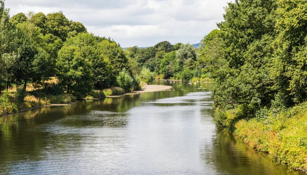 Bute park