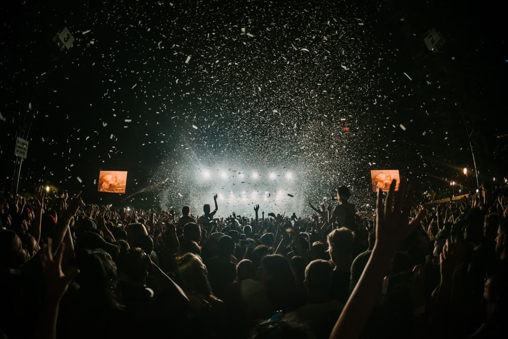 Festival goers