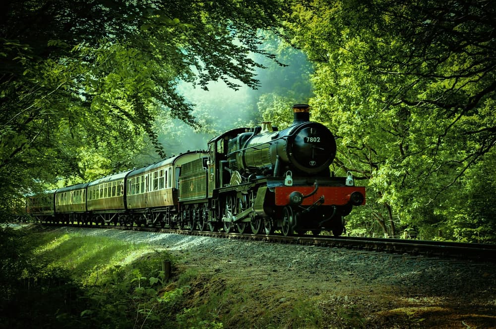 steam train experience