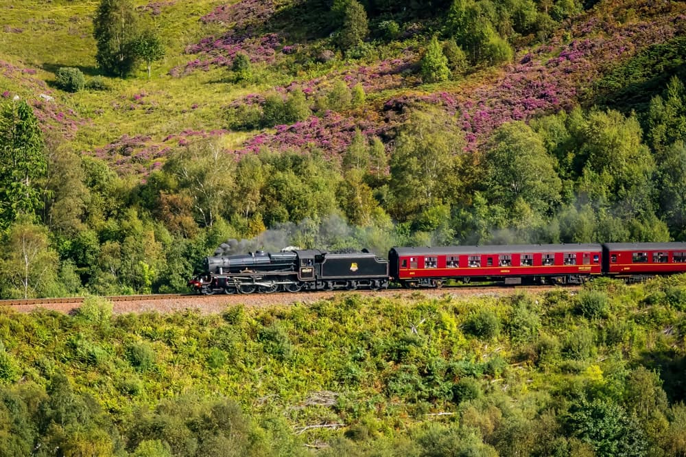 ride a steam train
