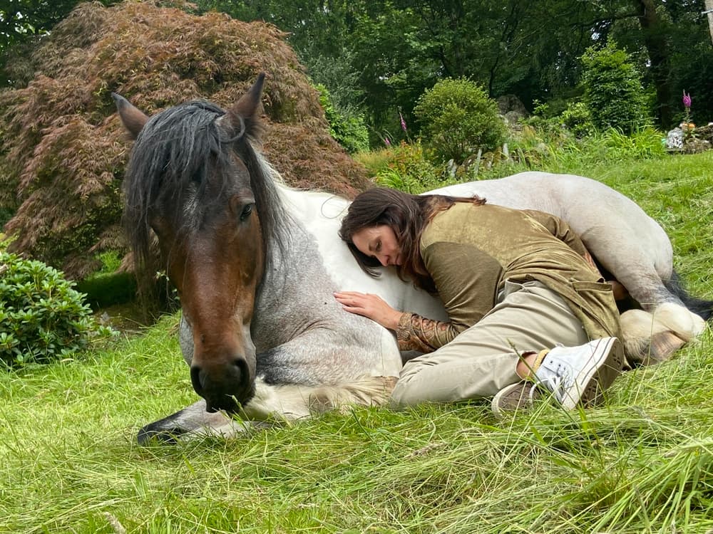 Meditate-with-horses