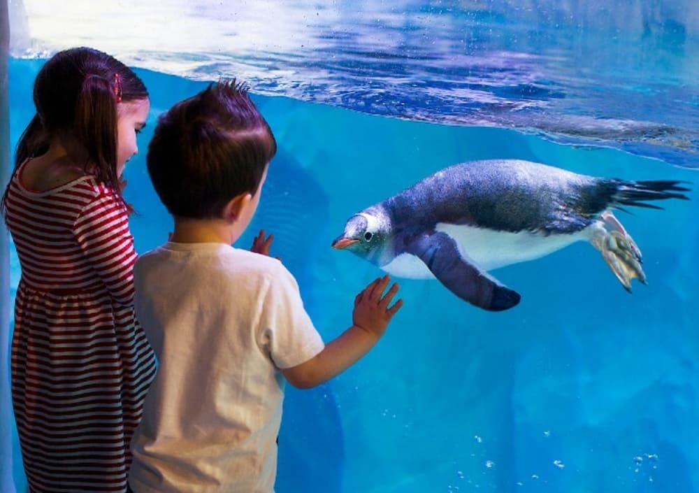 National sea life centre Birmingham