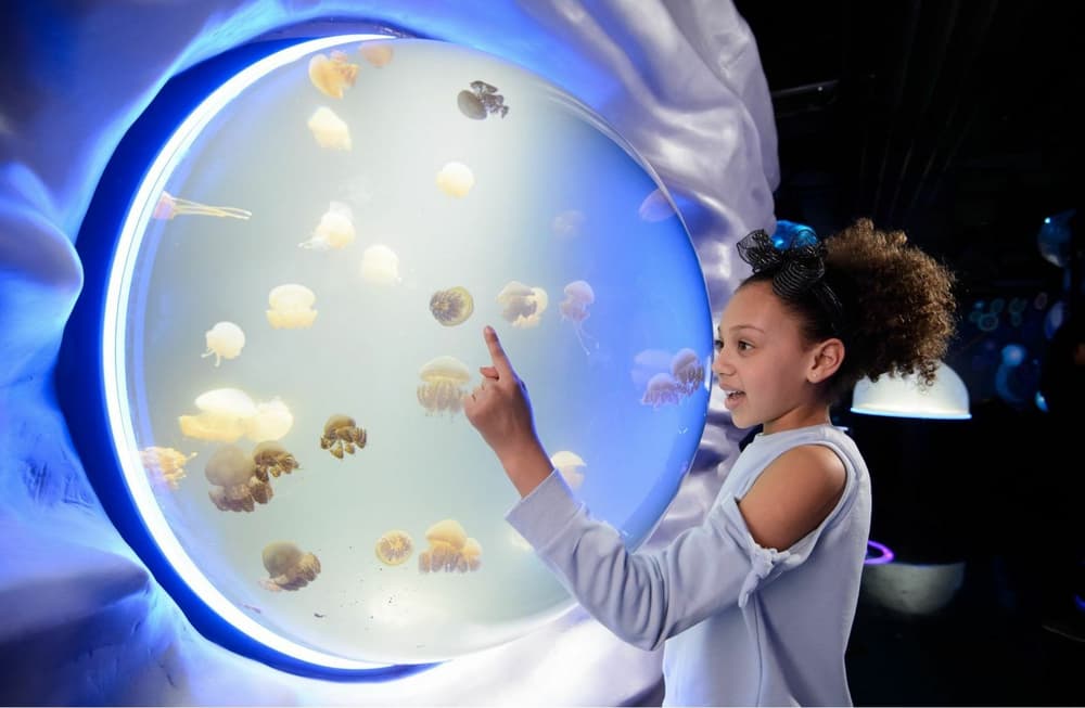 Sea life centre exhibition