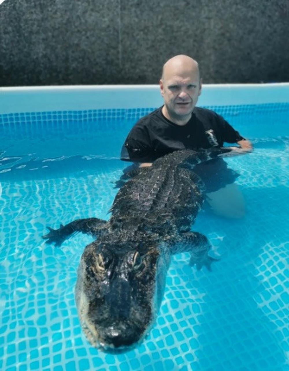 Swim with crocodiles