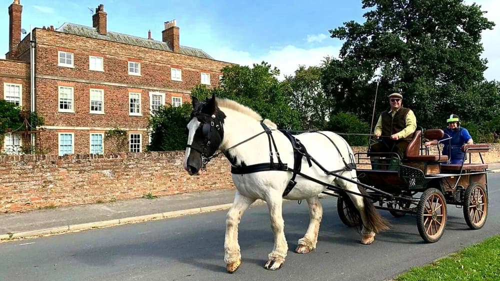 a black and white horse pulling a carriage travelling down a road in selby going past a grand brick house