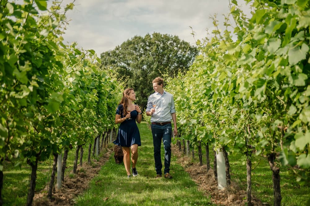 man and woman walking through a vineyard in summer sunshine on a tour of gusbourne estate