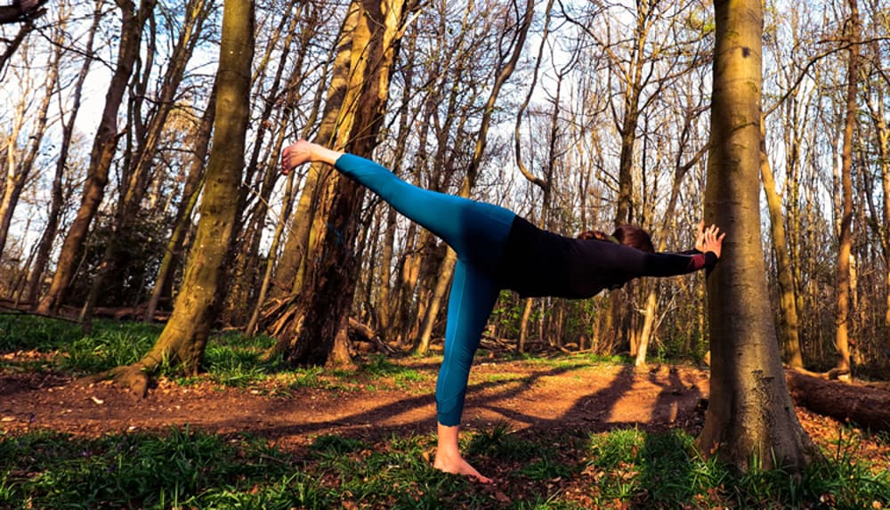 8 Outdoor yoga and Forest Bathing Brighton Stanmer Park Brighton Yoga