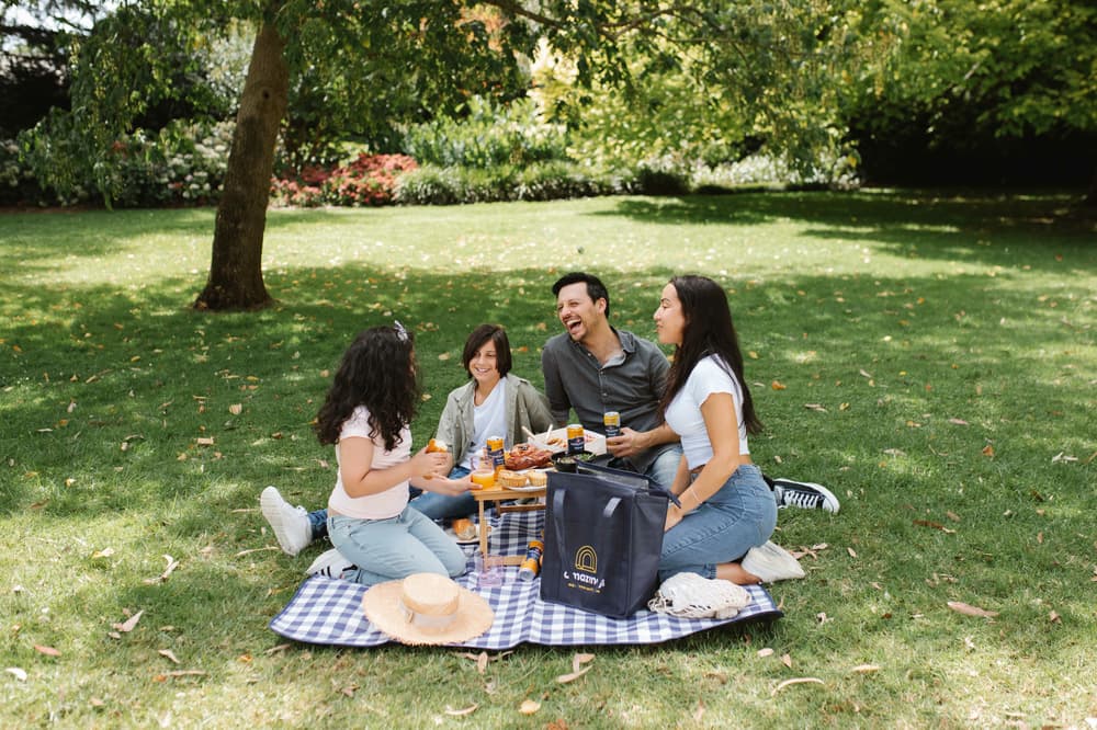 mystery picnic day out