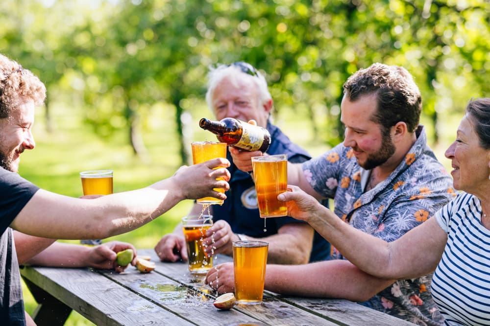 Dorset Nectar cider experience
