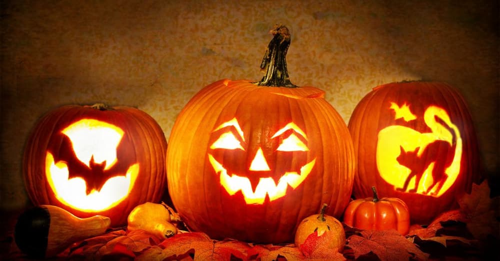 three pumpkins in a row carved in designs for halloween
