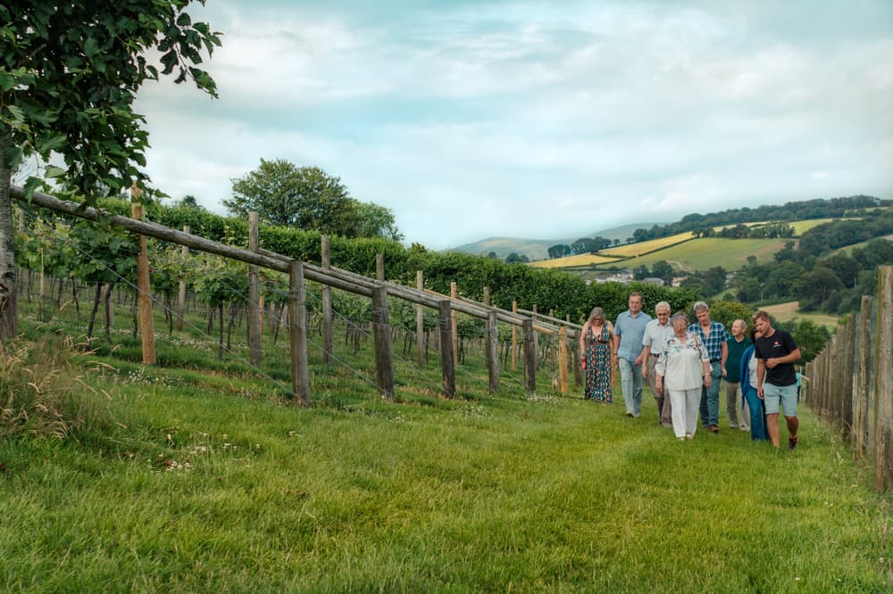 group of people on a tour of a vineyard in devon