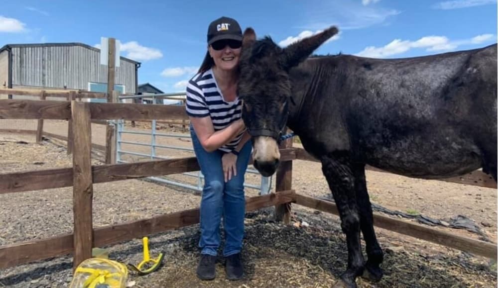 a woman standing next to a donkey on a donkey grooming experience