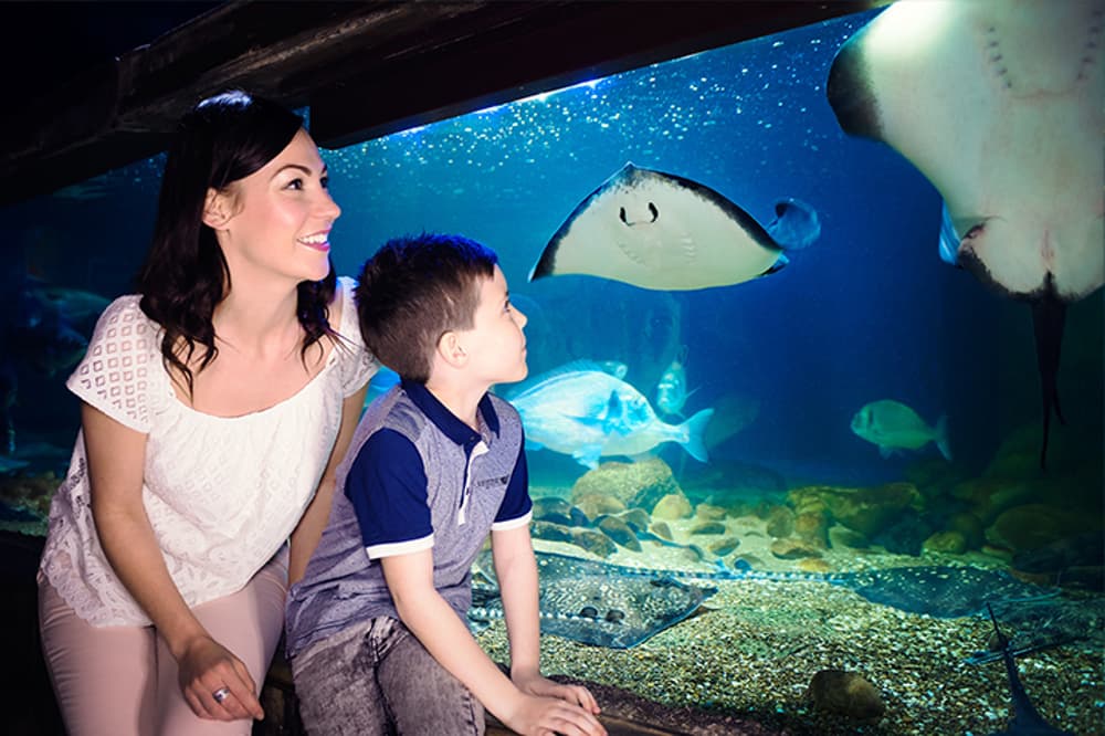 woman and child on a visit to the sea life aquarium in london