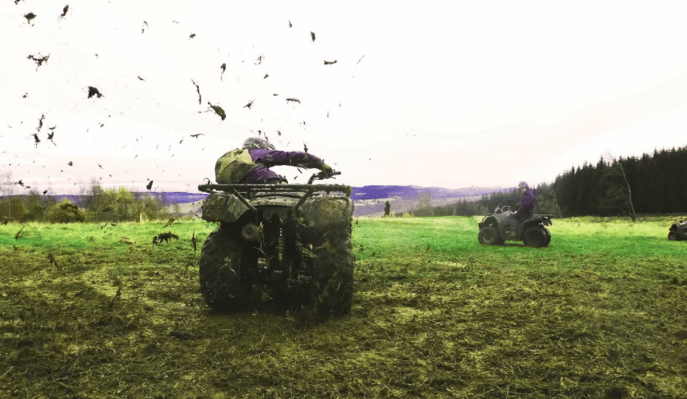 quad bike experience