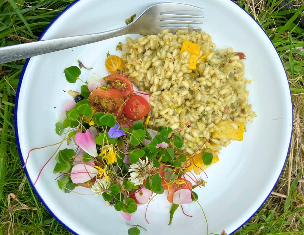 a foraged meal on a white plate of herbs, edible flowers and rice
