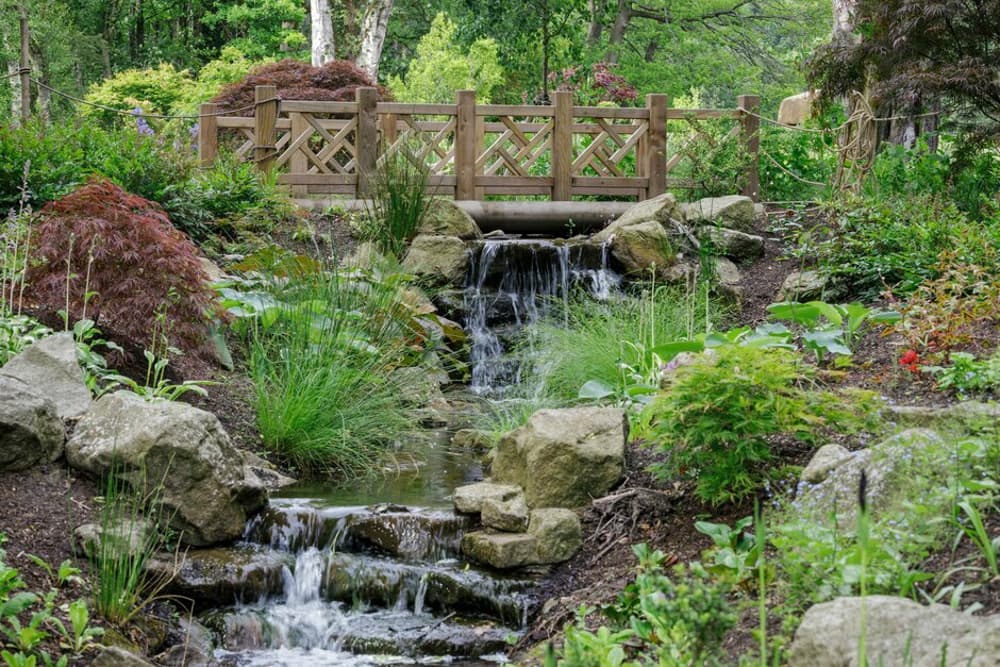 a stream flowing through the gardens at rhs bridgewater near manchester