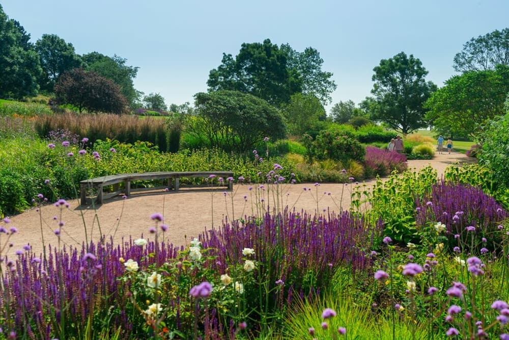 a view of the courtyard gardens with stone path at rhs hyde hall in essex