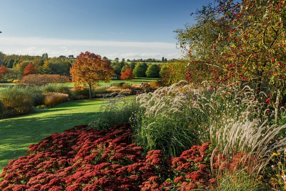 the gardens at rhs hyde hall in essex