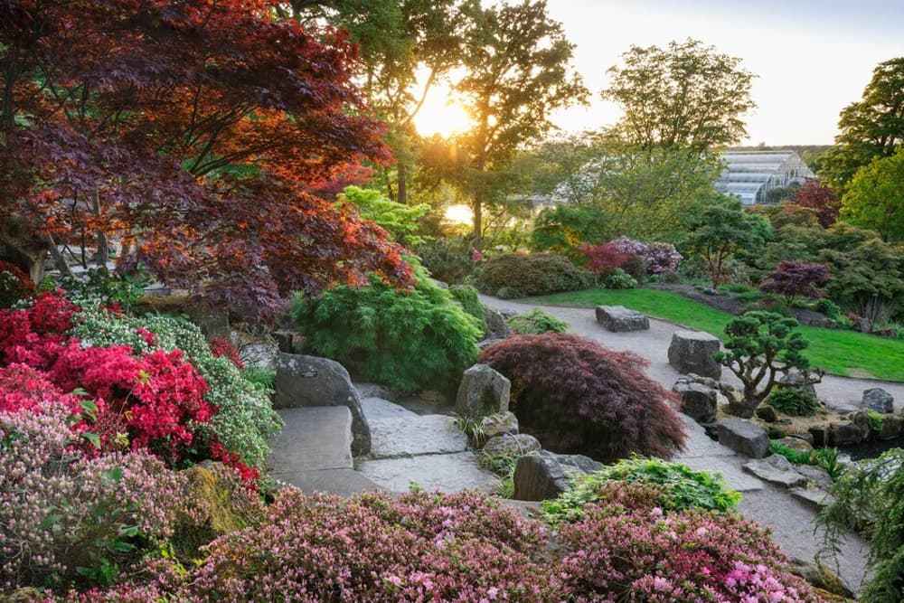 the rock gardens at rhs wisley