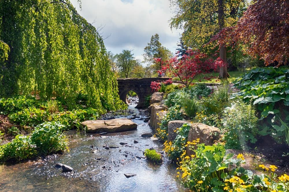 the streamside garden at rhs garden harlow carr in north yorkshire