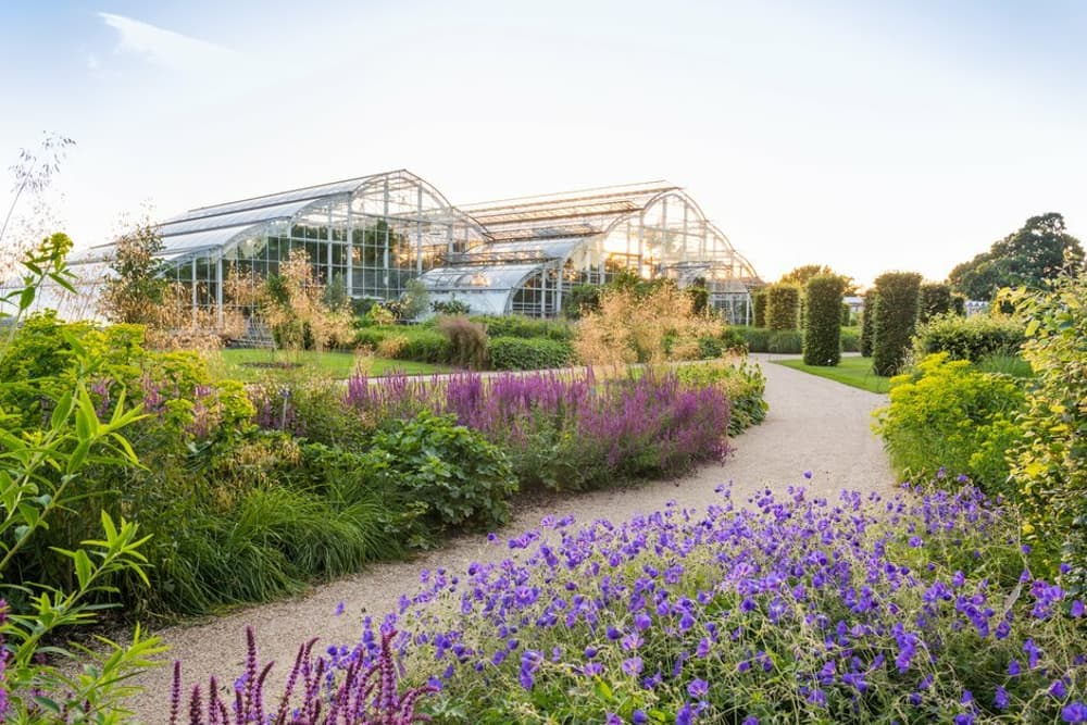a view of the glasshouse at rhs wisley