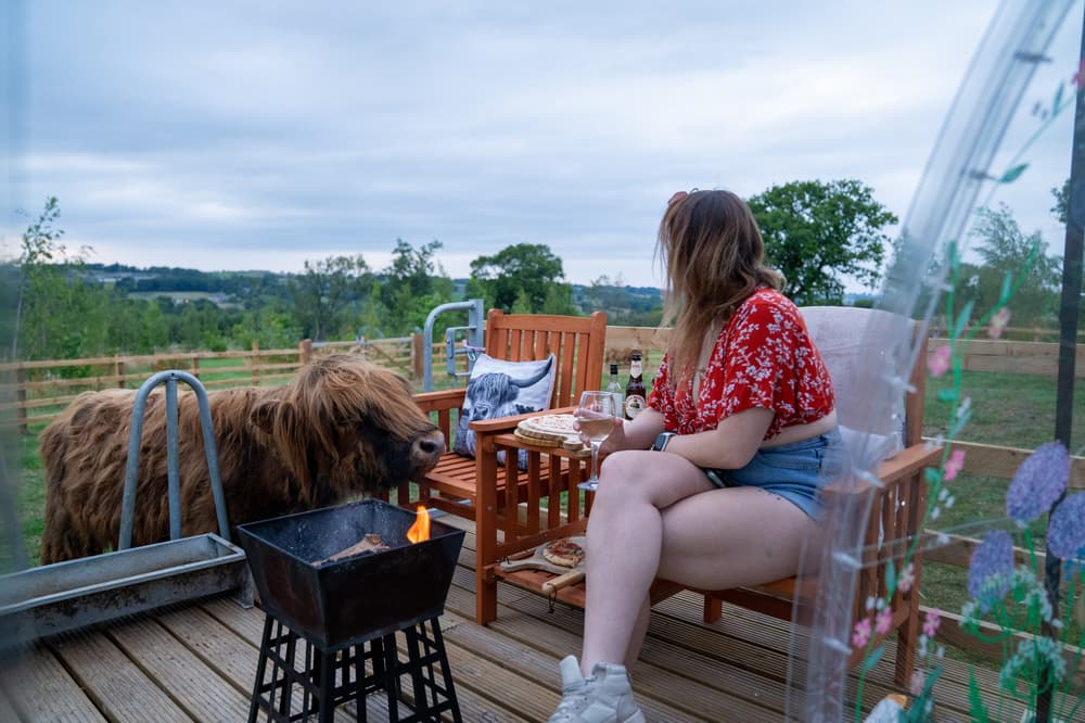 A lady and highland cow by a fire pit on the sunset pizzas experience