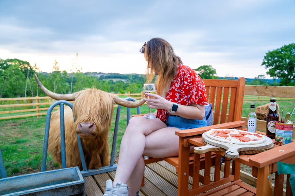 A lady sat with0wine by a highland cow sunset pizzas experience