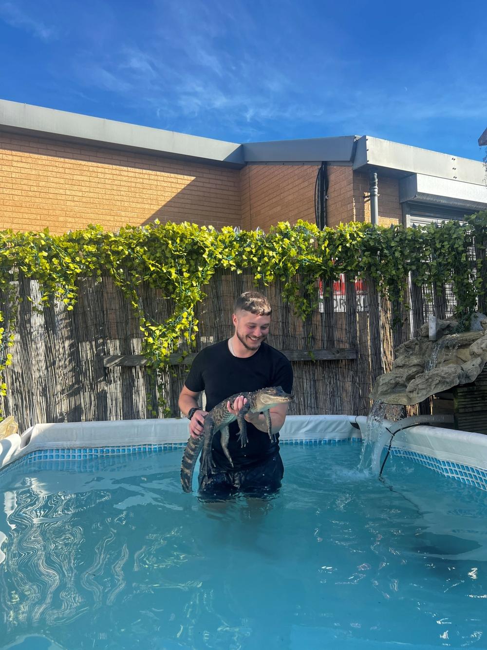 a man in a swimming pool with a crocodile on a swimming with crocodiles experience
