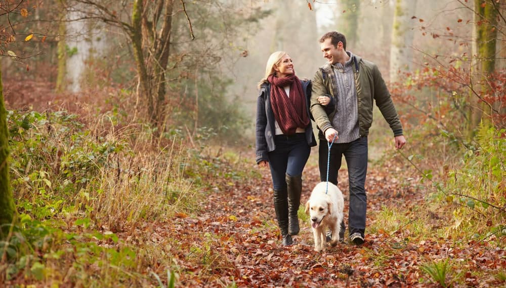 Autumn getaway