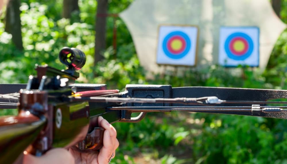 Crossbow experience