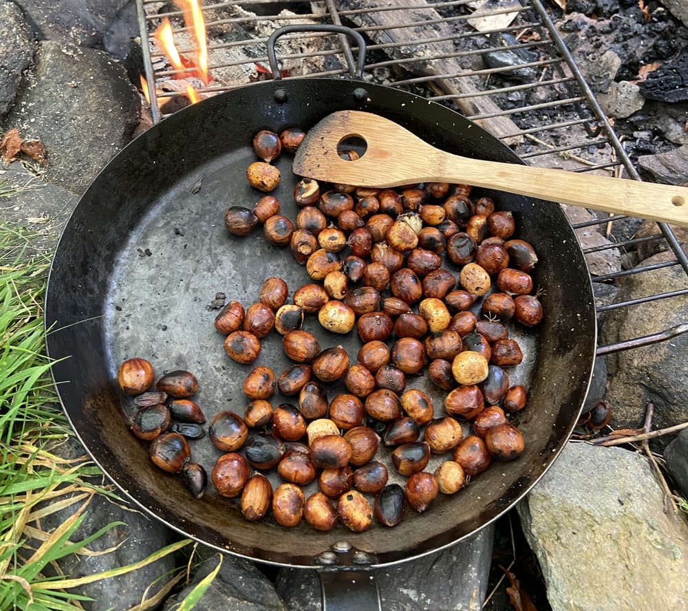 Forage and feast 19