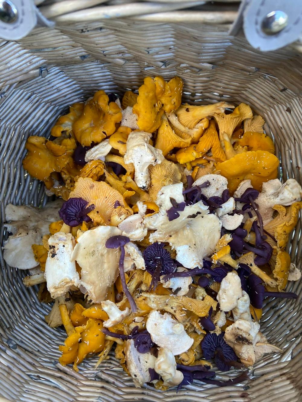forage and feast experience in the lake district