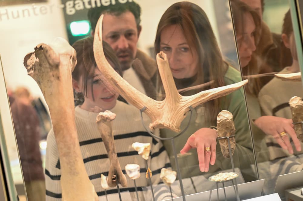 family looking at fossil bones at the gateway to the world exhibition at the seacity museum in southampton