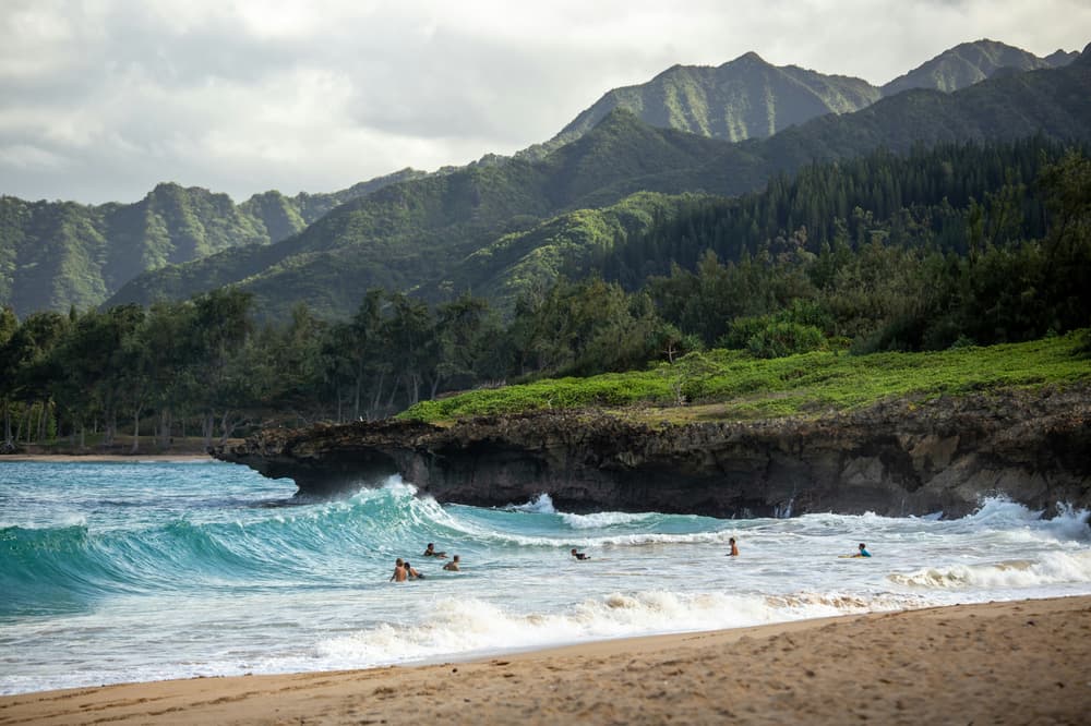 Hawaii surfers