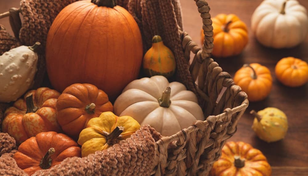 pumpkins in a basket