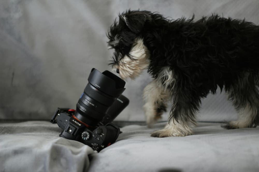 Hkyu wu Er Vsu D5 D Wlw unsplash