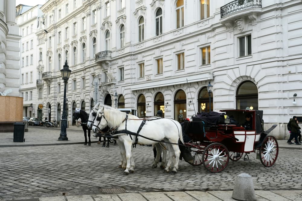 Horse and carriage