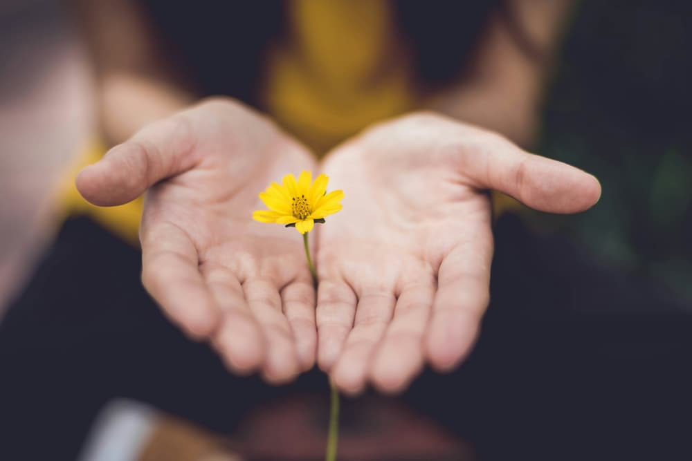 hands-holding-flower