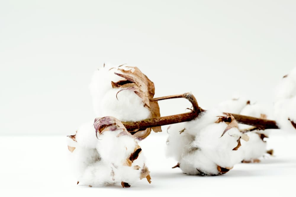 Marianne krohn R Nq Zbn Bn M Qk unsplash