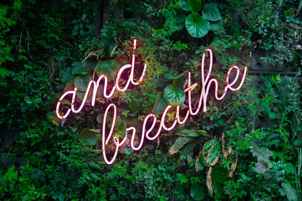 green leafy background with a pink neon sign saying "and breathe"