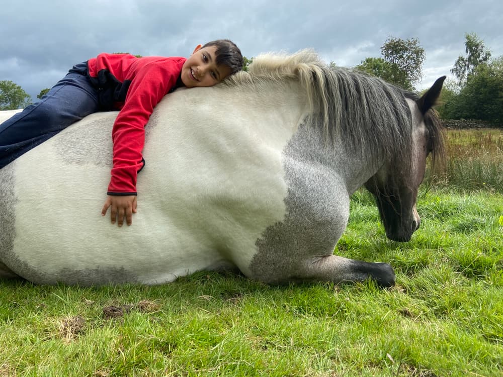 meditation with horses in the lake district