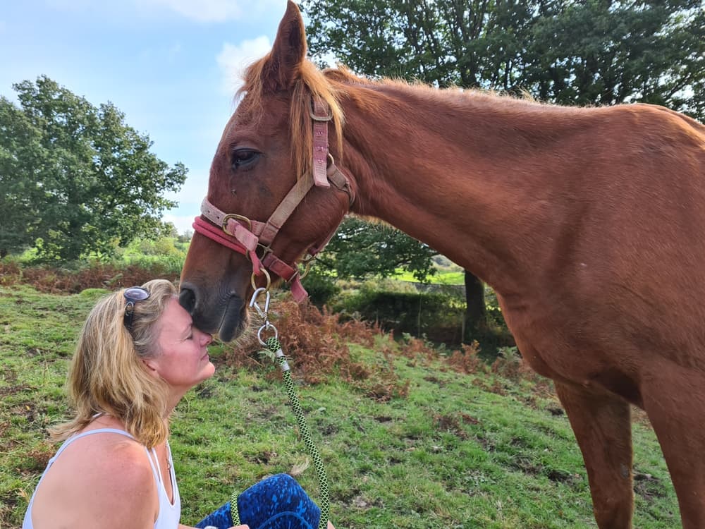 meditation with horses in the lake district