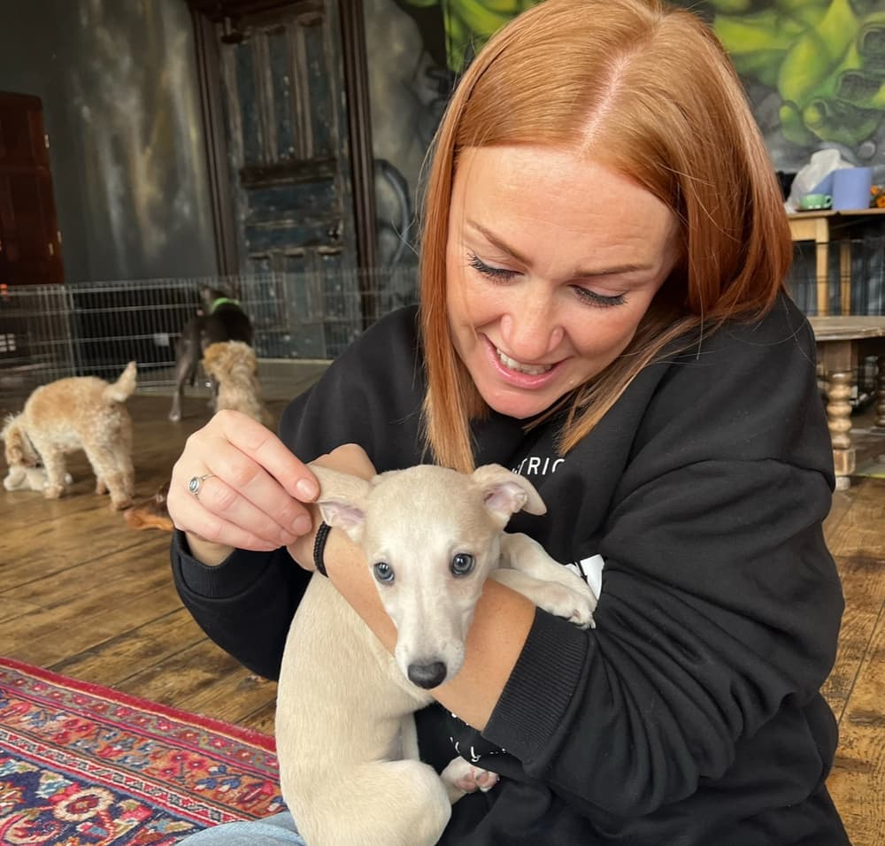 Pooch therapy